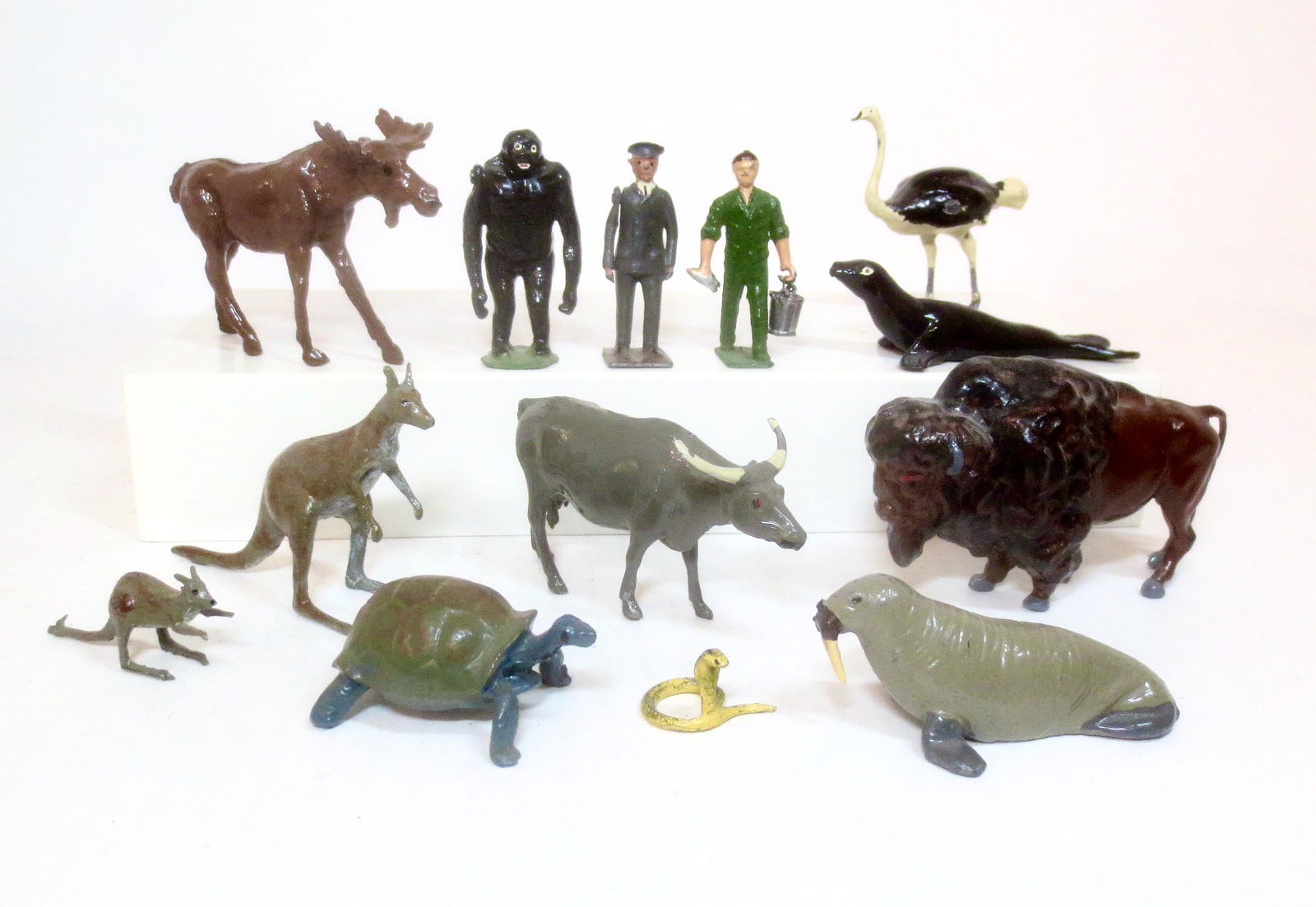 Assorted Zoo Animals & Keepers (1 of 1)