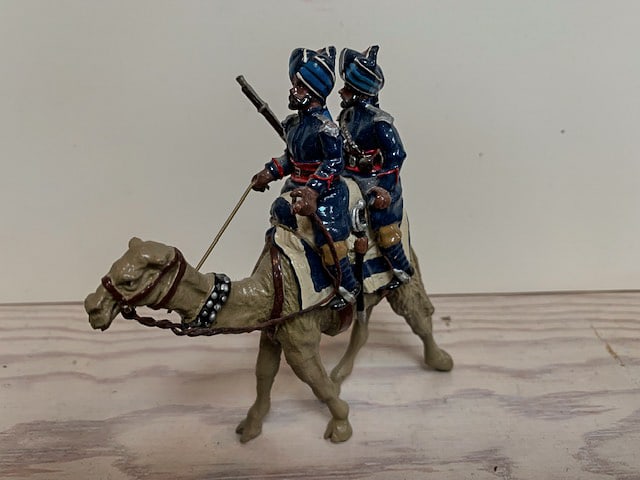 Durbar Camel (1 of 1)