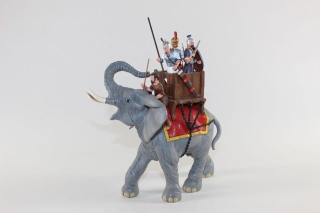 Alymer Hannibals War Elephant (1 of 1)
