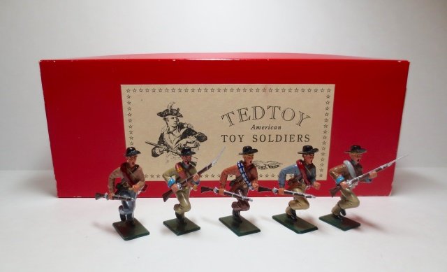 Tedtoy Set #TT352x Confederate Infantry (1 of 1)