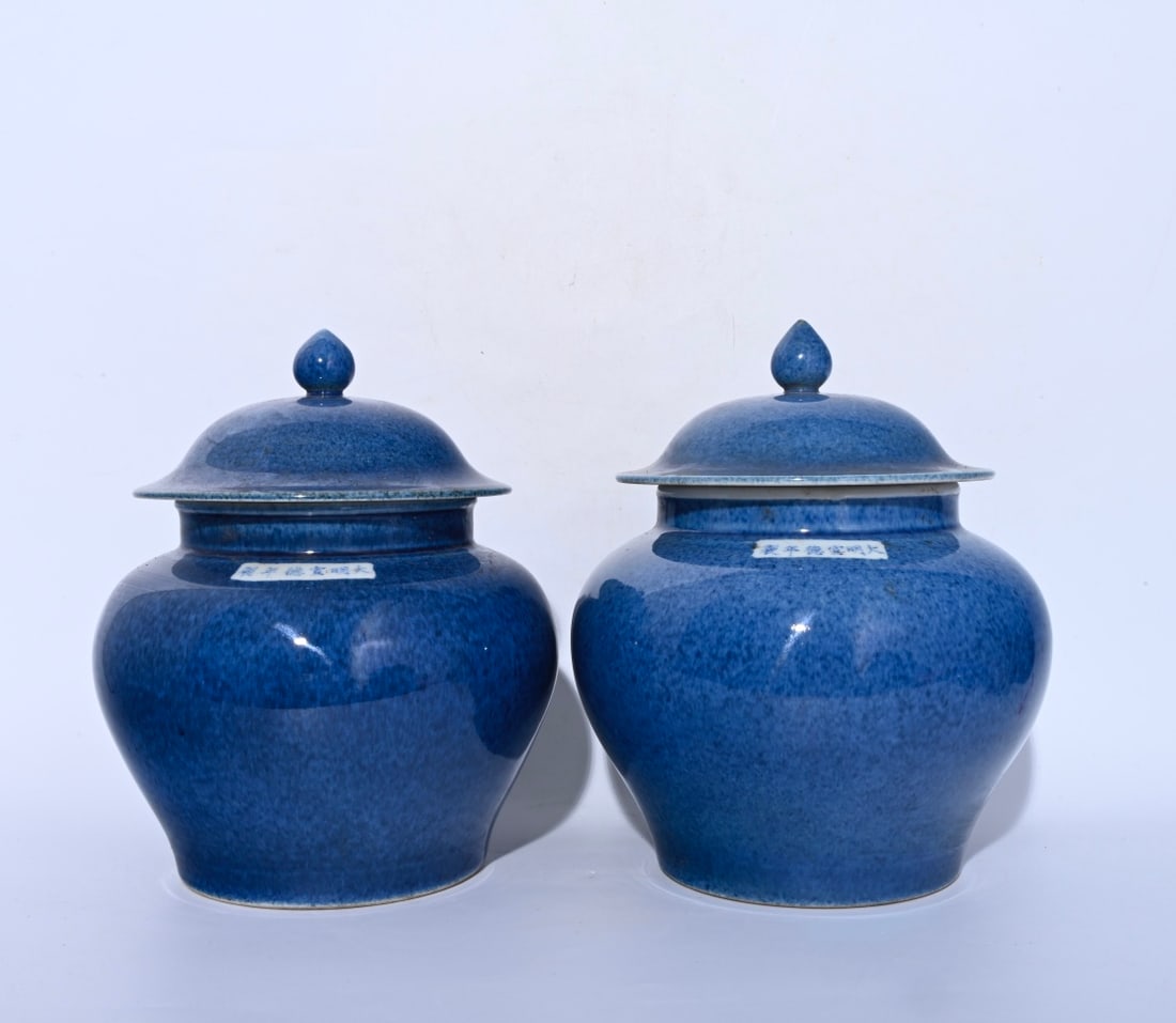 Chinese blue and white porcelain jar pair Ming dynasty Xuande Mark & Period: World Wide [Shipping 100% Free] Size: Height 26 cm - Width 22 cm Materials: Porcelain Time Period: Ming dynasty Manufactured Date: Xuande Mark & Period Origin: China Note! This Free Shipping Only For