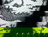 item-209142444=8