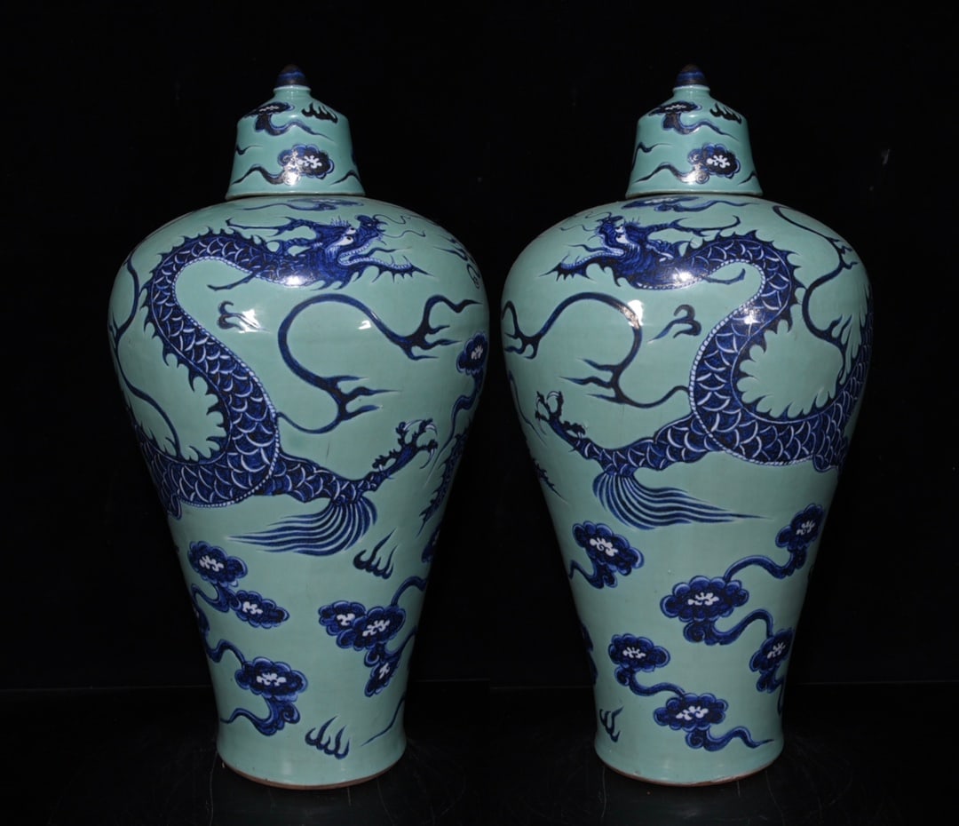 Yuan Dynasty green land blue and white dragon pattern plum vase (1 of 9)