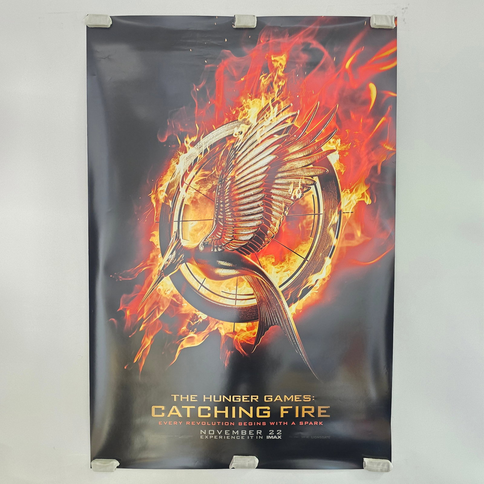 Catching Fire Movie Poster (1 of 6)