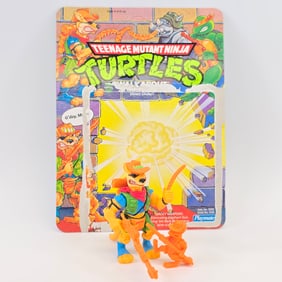 TMNT Walkabout
