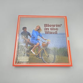 Blowin In The Wind Vinyl LP's