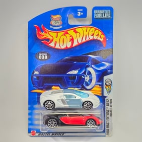 Hot Wheels Bugatti Veyron Pair