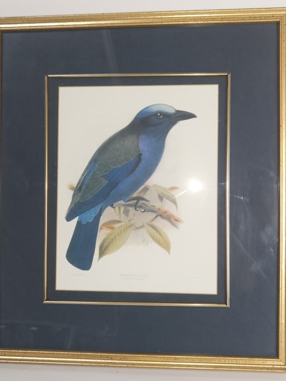 J.G. Keulemans Lith. Temmincks Roller Print (1 of 6)