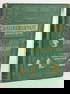 1874 Dombey and Son by Charles Dickens
