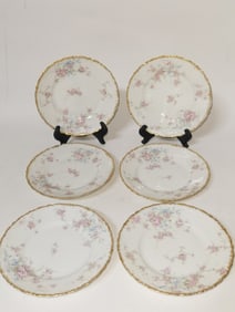 (6) Theodore Haviland Limoges Porcelain Plates