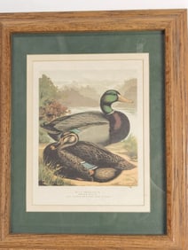 J.K. Fowler's Pair of Rouen Ducks Print