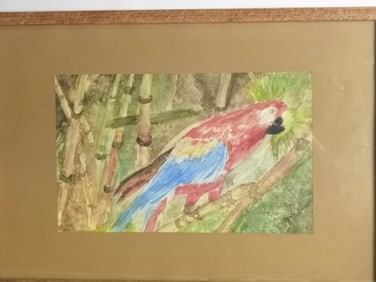 Watercolor Parrot Painting, Signed Grete Svensen