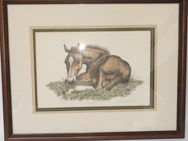 "Young Foal" by Jon Albert, Numbered