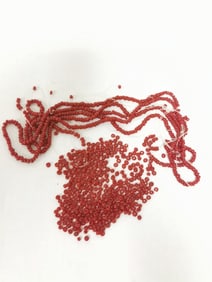Group of Red Coral Beads