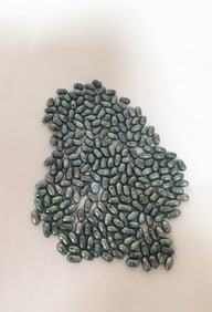 Group of Metalic Tone Pearls