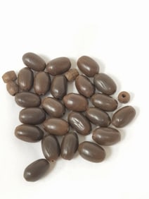 Group of Old Lotus Seed Beads