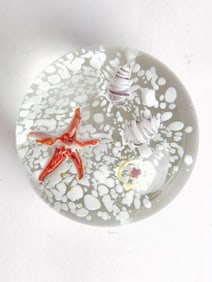 Unmarked Starfish Seashell Glass Paperweight
