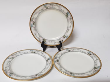 (2) Haviland France Porcelain Plates