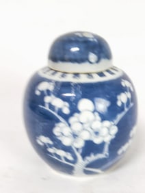 Chinese Porcelain B&W Plum Jar
