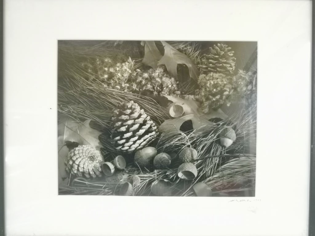 1999 Black and White Photo by Mike Marko: 1999 Black and White Photo by Mike Marko, 17in by 21in