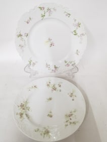 (2) Haviland Limoges Porcelain Floral Plates