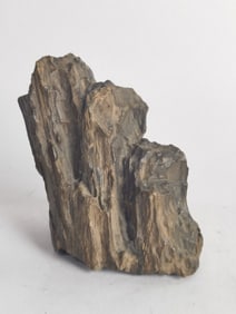Chinese Fossilized Wood Decor