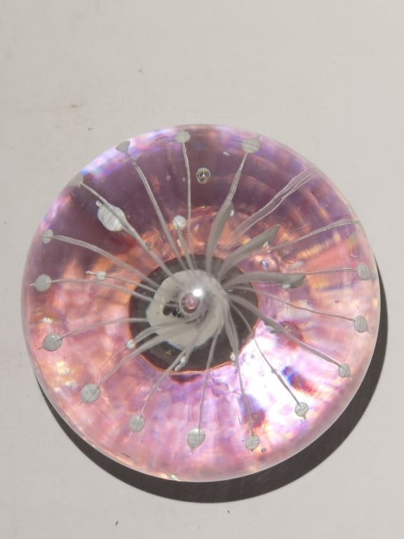 Large Vintage Pink Sea Anemone Glass Paperweight (1 of 5)