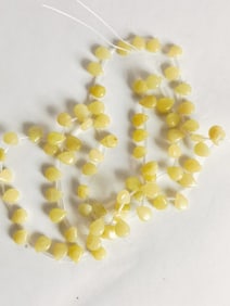 Strand of Yellowish Stone Beads