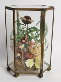 Vintage Glass Terrarium Display