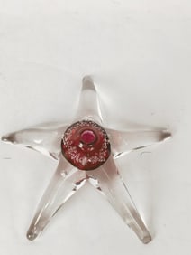Klodgett Hand Blown Glass Red Starfish