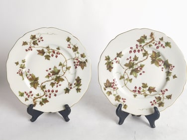 (2) Vintage Royal York Porcelain Summer Vine Plates