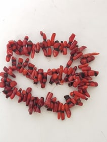 Broup of Red Coral Branch Beads