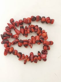 Group of Red Coral Beads