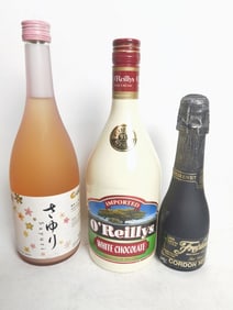 (3) Japanese/Imported Wine and Drinks