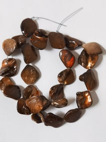 Natural Shell Beads
