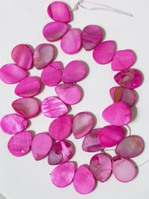 Dyed Natural Shell Beads