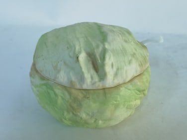 Vintage Enesco Porcelain Cabbage Soup Tureen