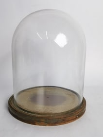 Glass Dome with Wood Stand
