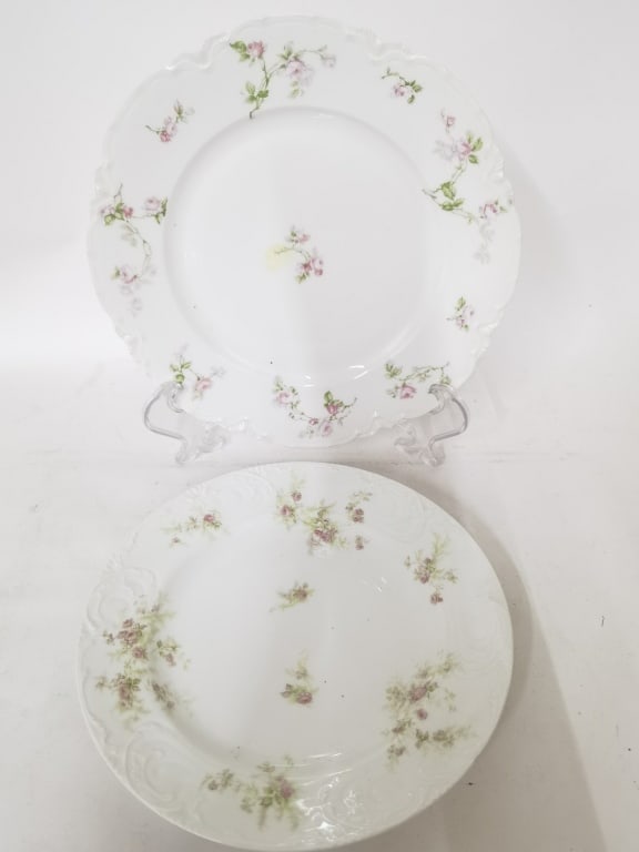 (2) Haviland Limoges Porcelain Floral Plates: (2) Haviland Limoges Porcelain Floral Plates, 9.5in
