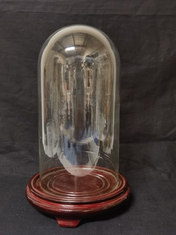 Glass Dome on Wood Stand: Glass Dome on Wood Stand, 5.5in by 12.5in