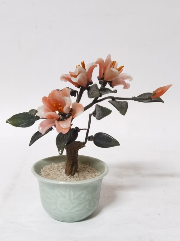 Chinese Jade Tree: Chinese Jade Tree, 7in