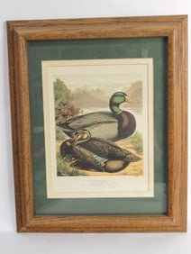 JK Fowler Pair of Rouen Ducks Print