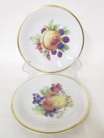 (2) Vintage Schwarzenhammer Porcelain Fruit Plates