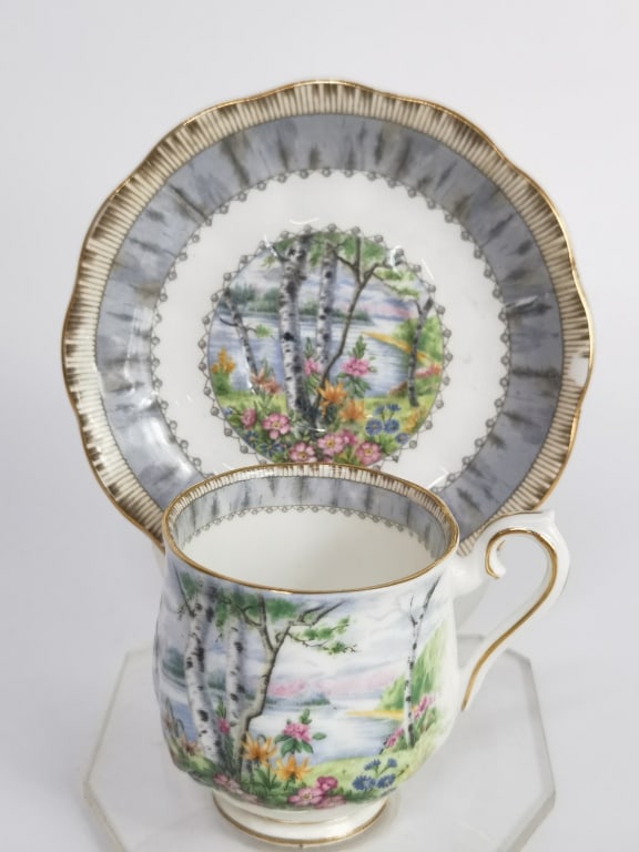 Vintage Royal Albert Silver Birch Cup Set (1 of 6)