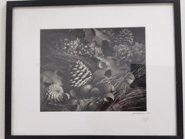 1999 Black and White Acorn Photo, Signed Mike Work