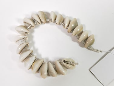 Group of Seashell Beads