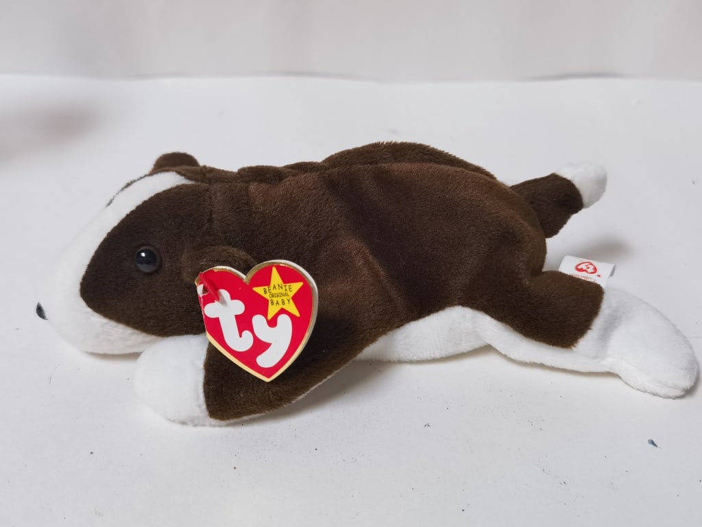 1997 Ty Bruno the Bull Terrier Beanie: 1997 Ty Bruno the Bull Terrier Beanie, 9in