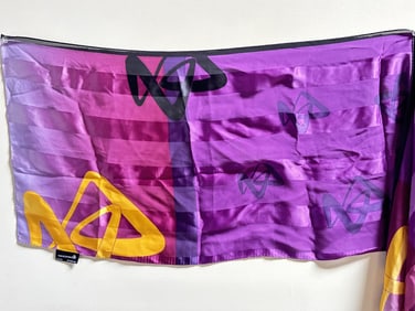 AstraZeneca Silk Scarf