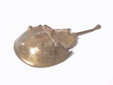 Vintage Bronze Manta Ray Wall Decor