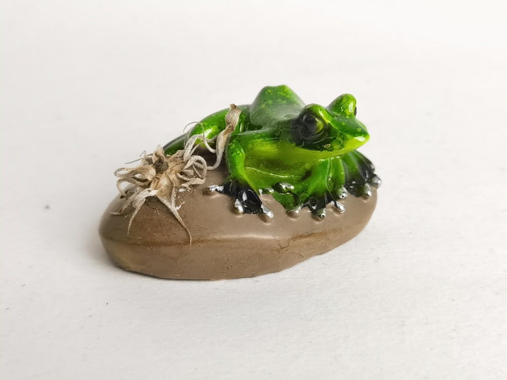 Novelty Rainforest Frog - 2